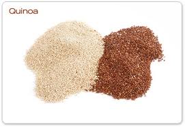 sortes de quinoa
